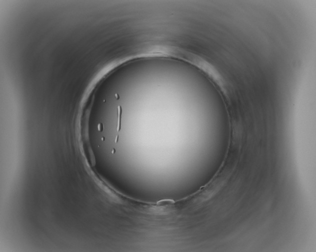 X0000110881480200906251239