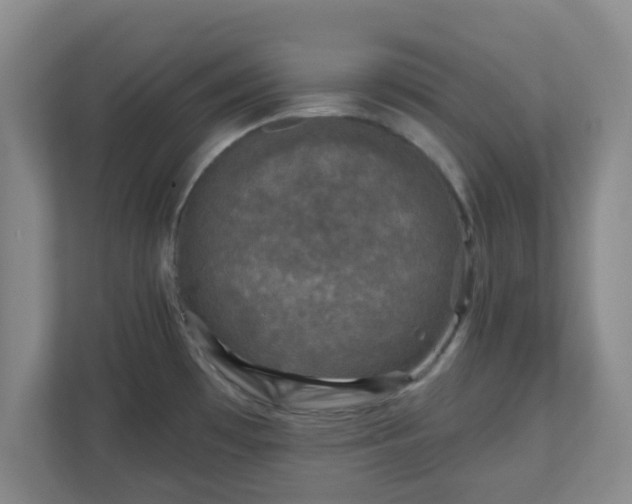 X0000110881481200906251239