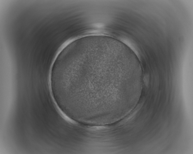 X0000110881482200906251239
