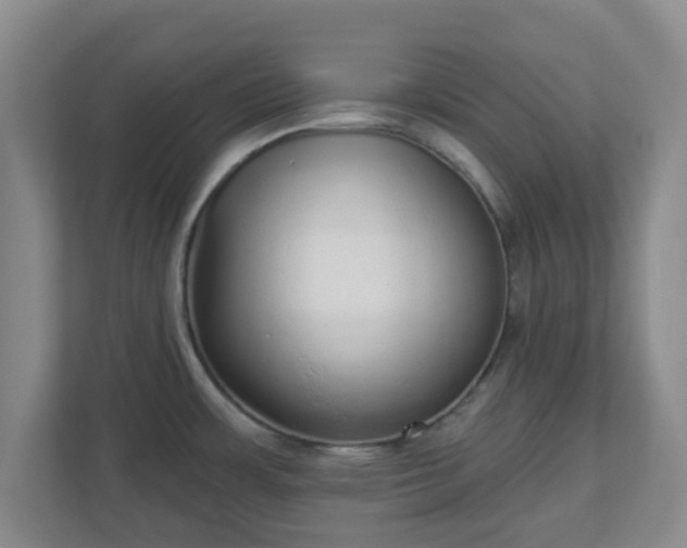 X0000110881483200906251239
