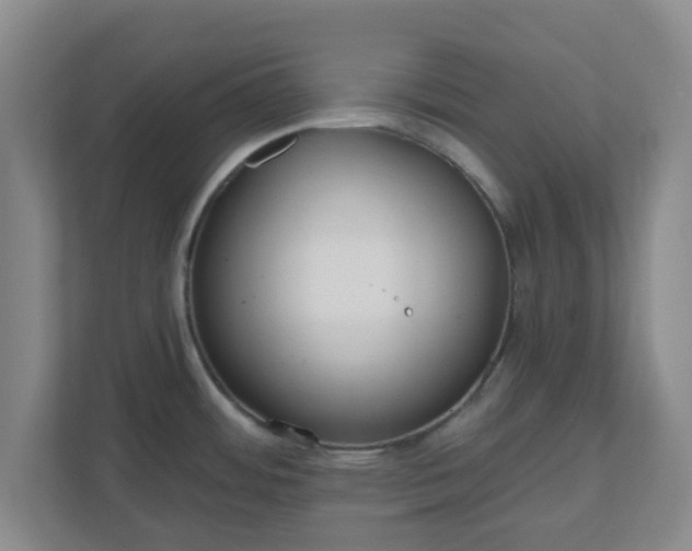 X0000110881484200906251239