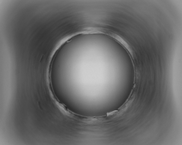 X0000110881485200906251239
