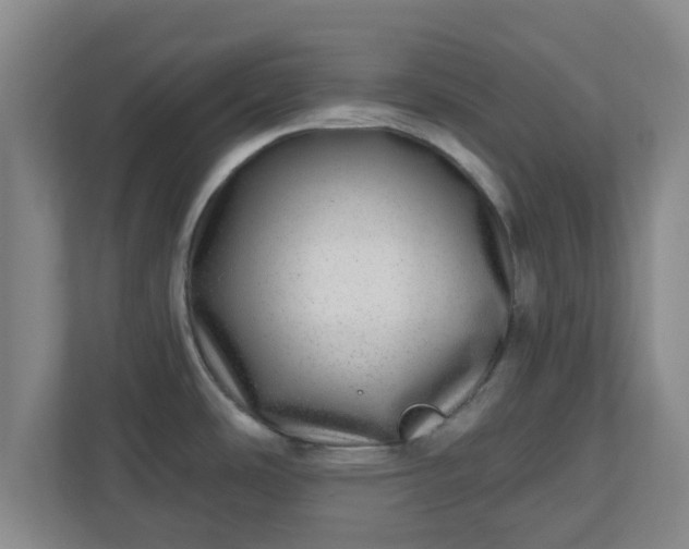 X0000110881486200906251239