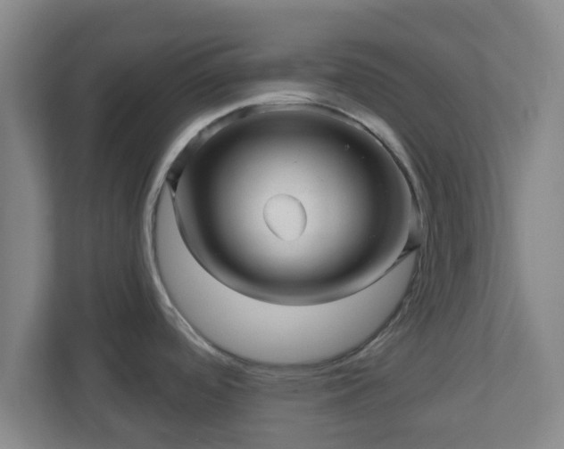 X0000110881488200906251239
