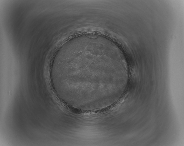 X0000110881489200906251238