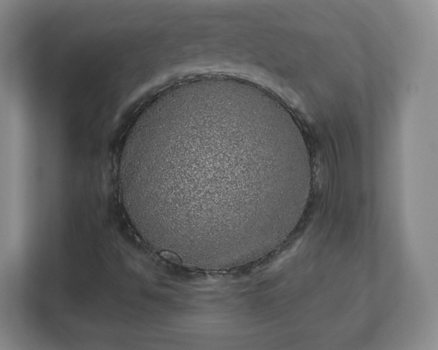 X0000110881494200906251238