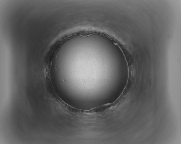 X0000110881495200906251238