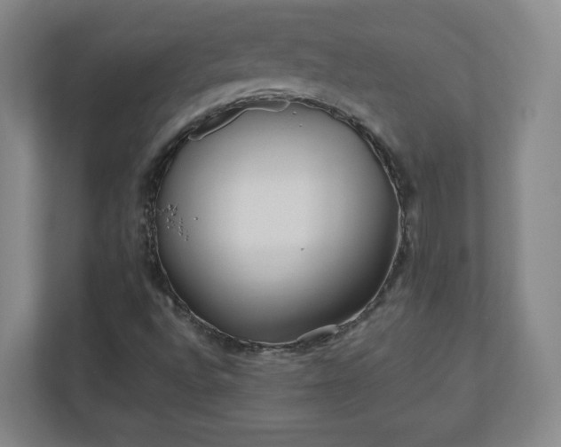 X0000110881496200906251238