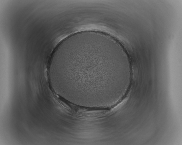 X0000110881497200906251238