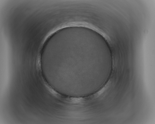X0000110881498200906251238