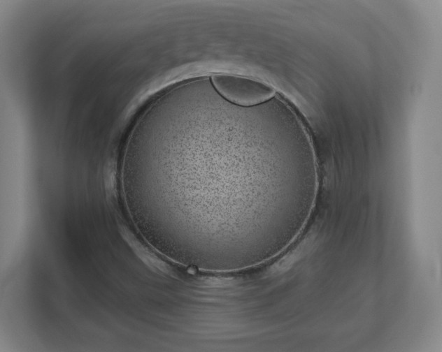 X0000110881499200906251238