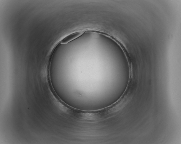 X0000110881500200906251238