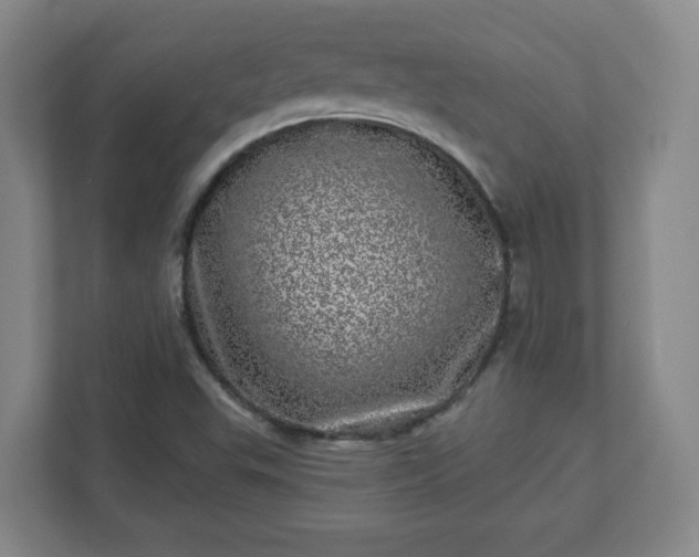 X0000110881503200906251238