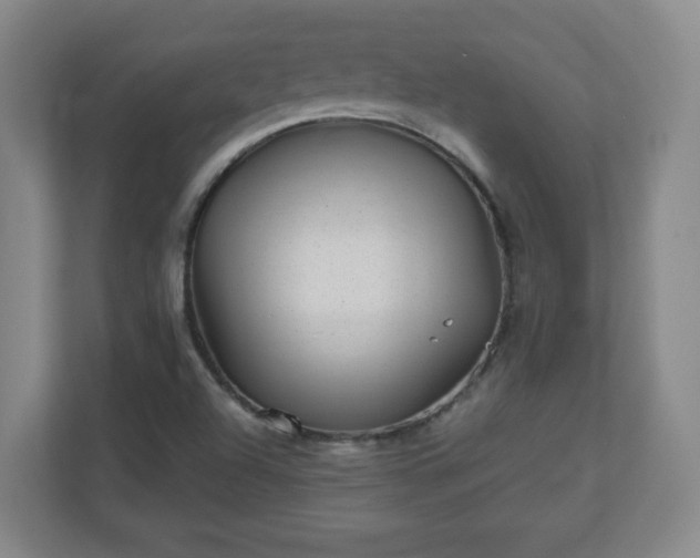 X0000110881504200906251238