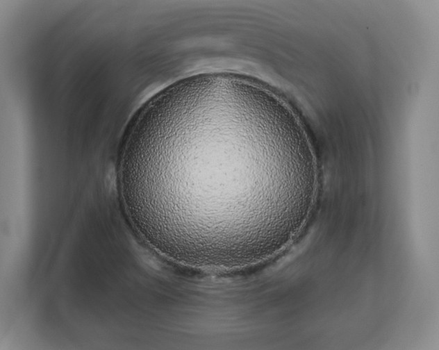 X0000110881505200906251238
