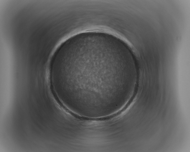 X0000110881506200906251238