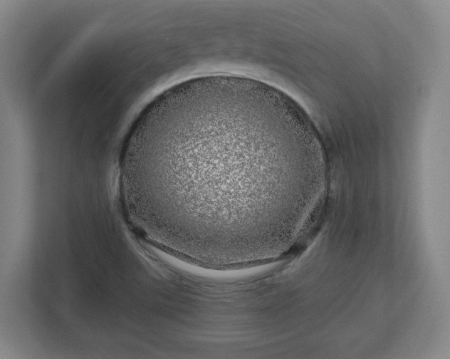 X0000110881507200906251238
