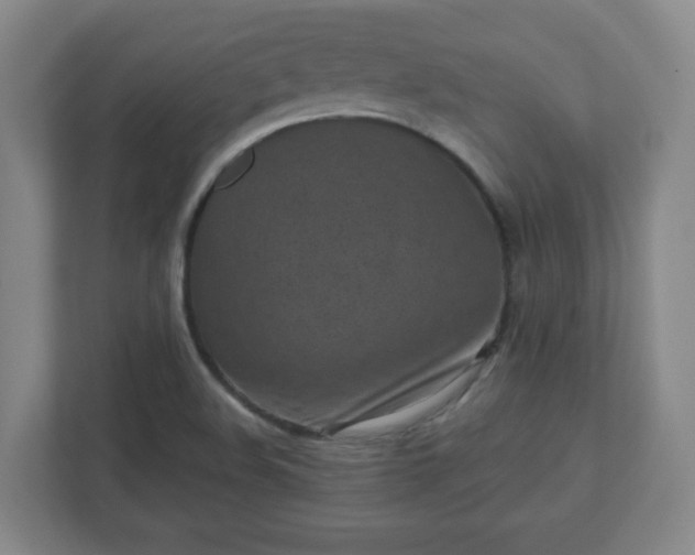 X0000110881508200906251238