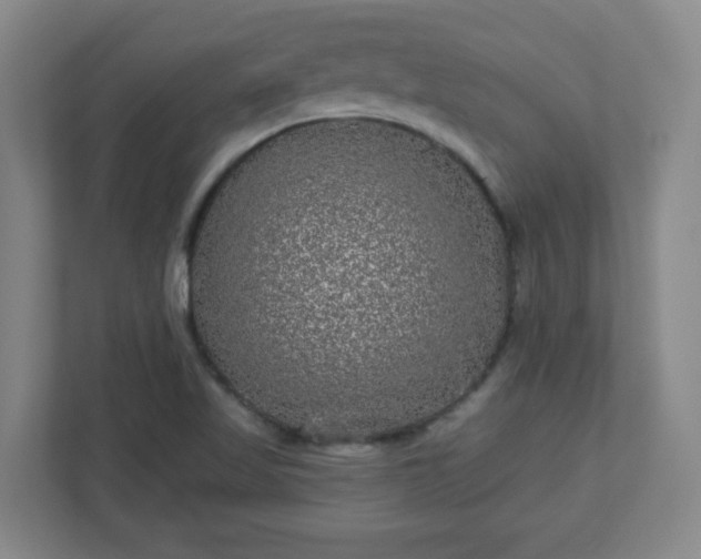 X0000110881509200906251238