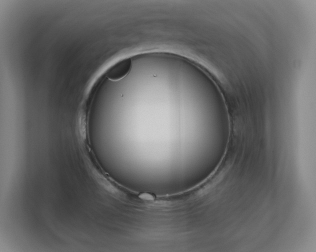 X0000110881510200906251238