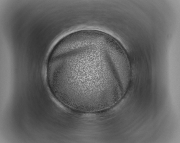 X0000110881511200906251238