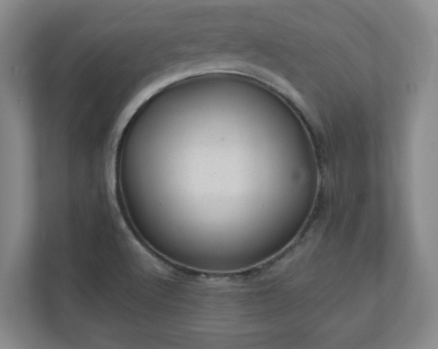 X0000110881512200906251238