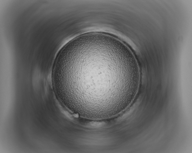 X0000110881513200906251238