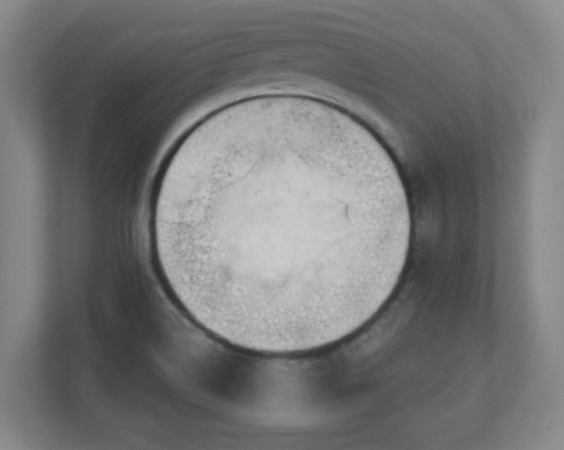 X0000110881514200906251238