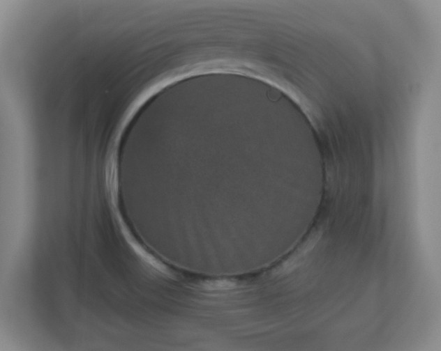 X0000110881515200906251238
