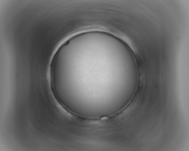 X0000110881516200906251238