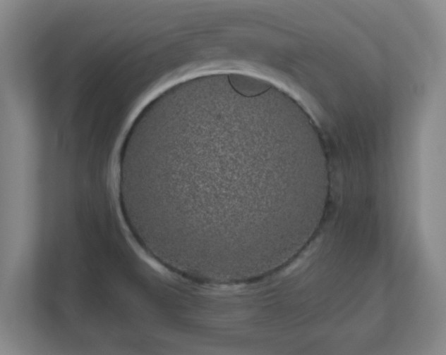 X0000110881519200906251238