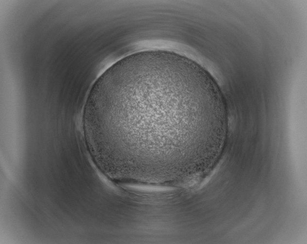 X0000110881521200906251238