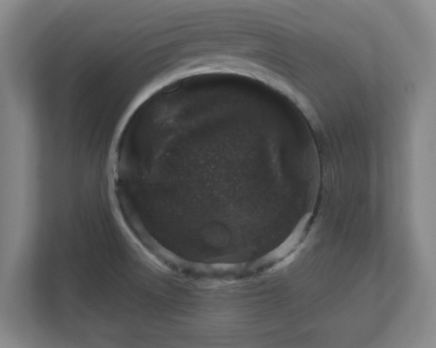X0000110881522200906251238