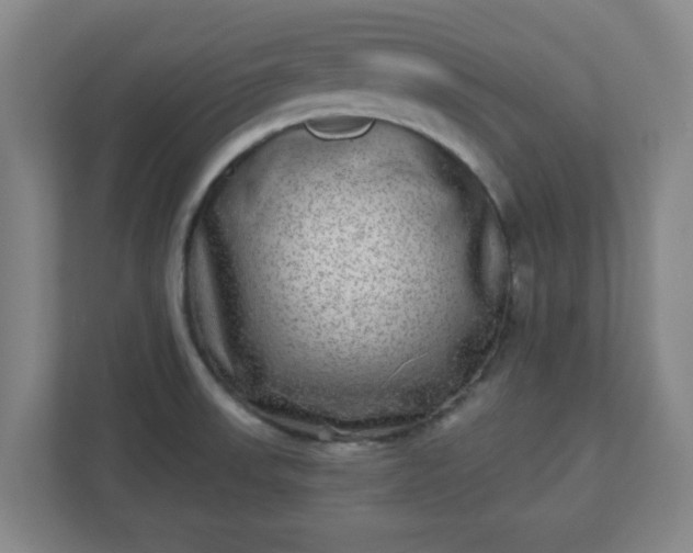 X0000110881523200906251238