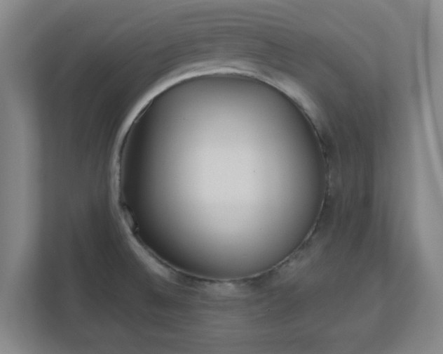 X0000110881524200906251238