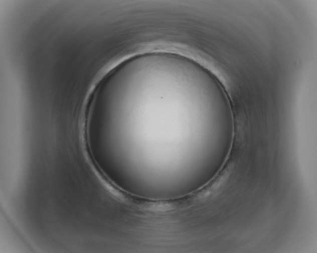 X0000110881525200906251238