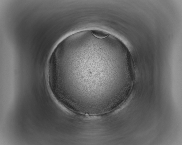 X0000110881526200906251238