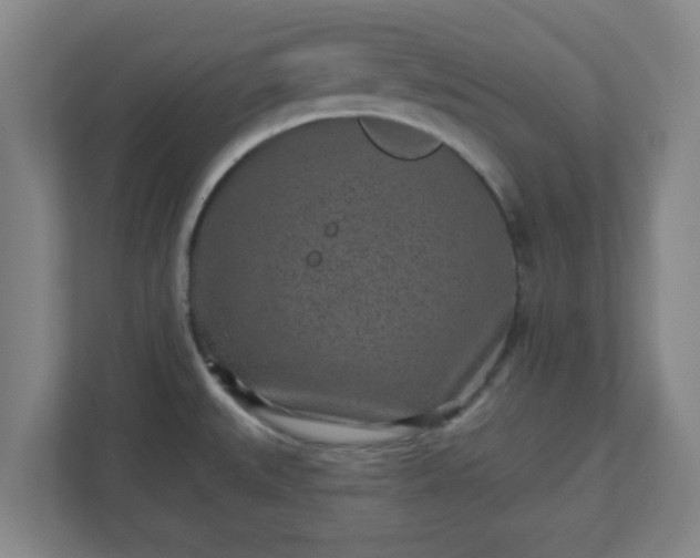 X0000110881527200906251238