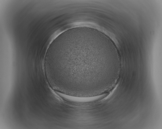 X0000110881529200906251238