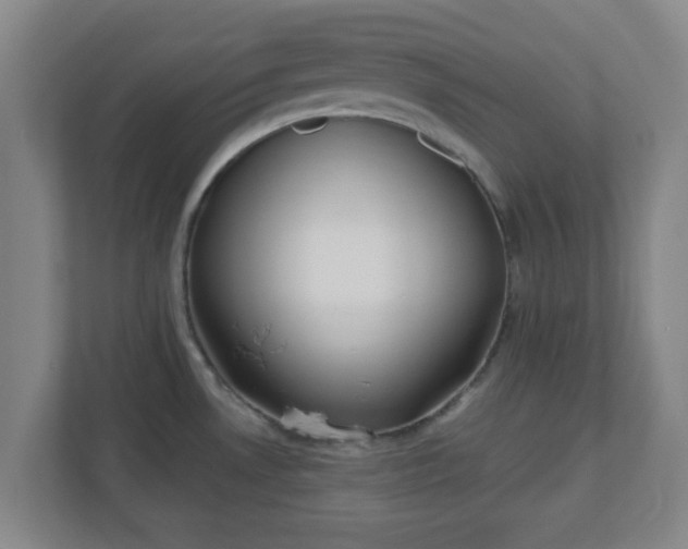 X0000110881530200906251238