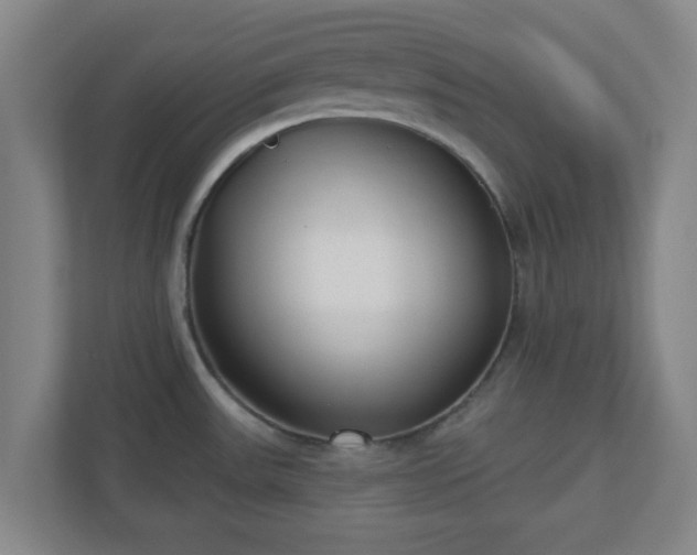 X0000110881531200906251238