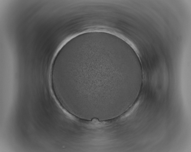 X0000110881533200906251238