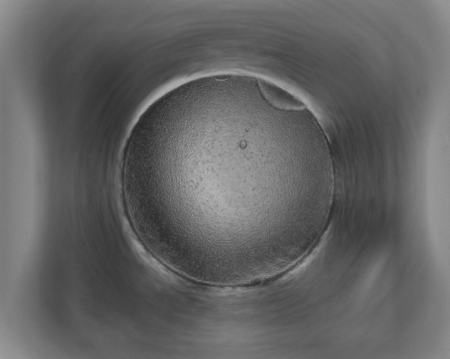 X0000110881534200906251238