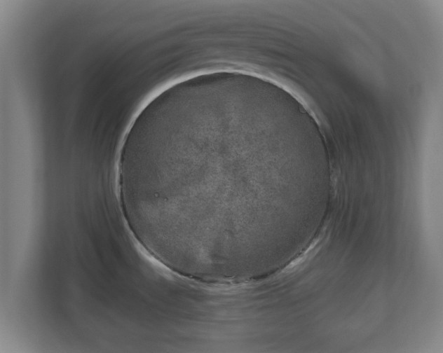 X0000110881535200906251238