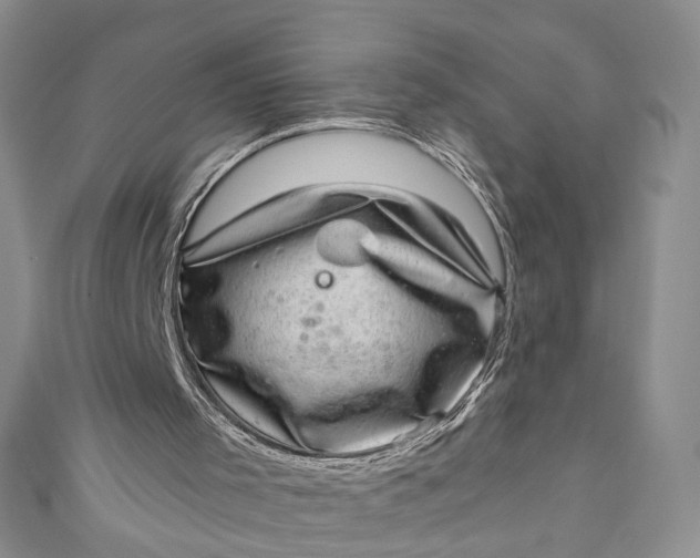 X0000110880001200907021506