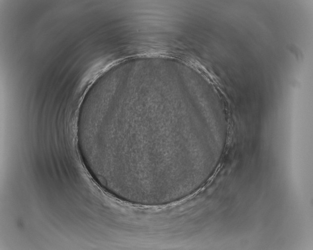 X0000110880002200907021506