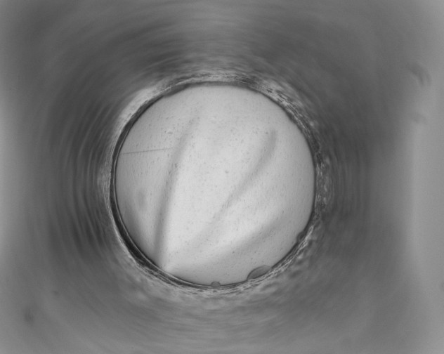 X0000110880003200907021506
