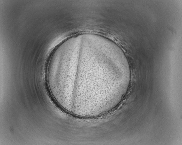 X0000110880005200907021506