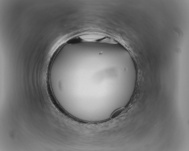X0000110880007200907021506