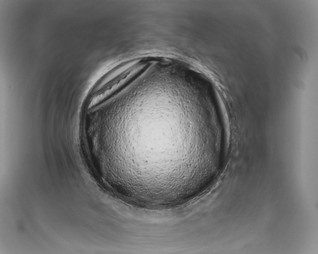 X0000110880008200907021506
